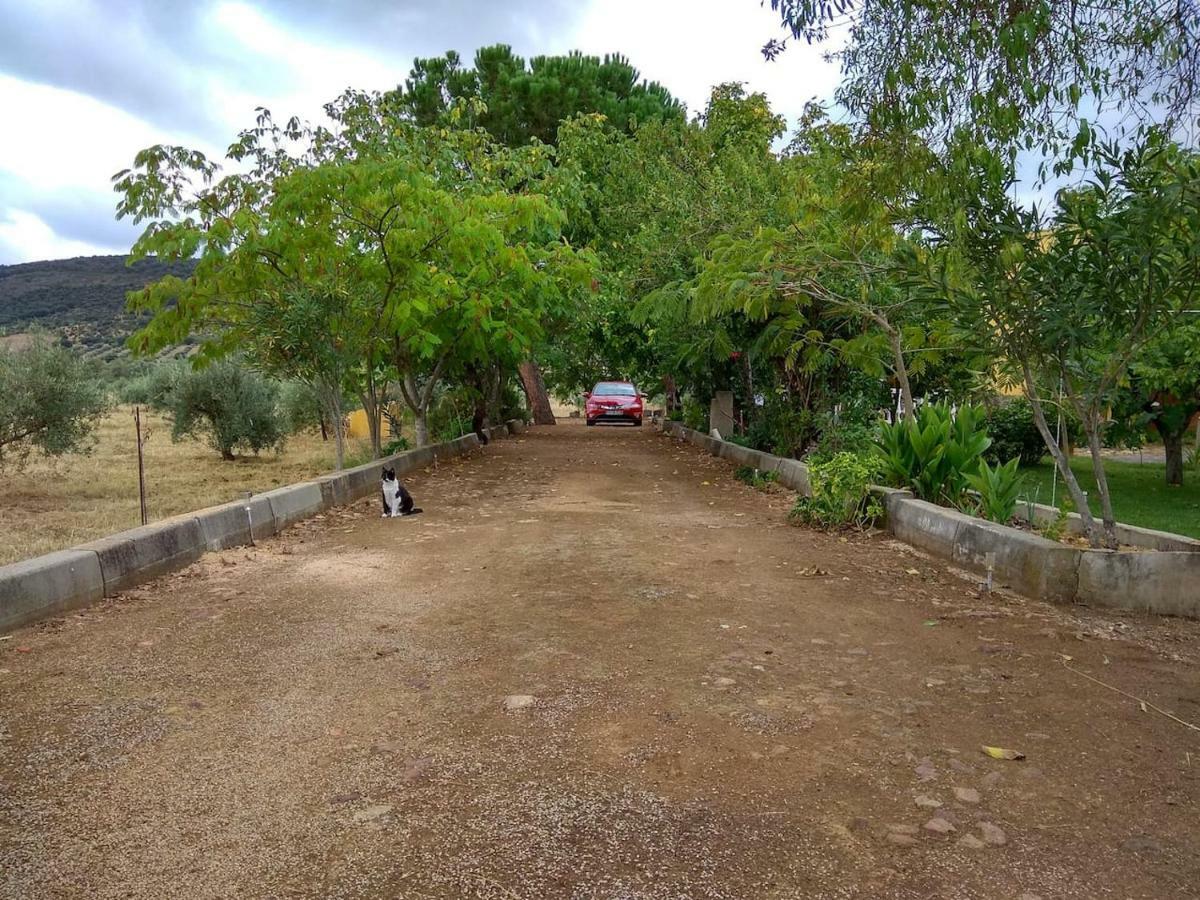 Villa El Gallo Los Cortijos Екстериор снимка